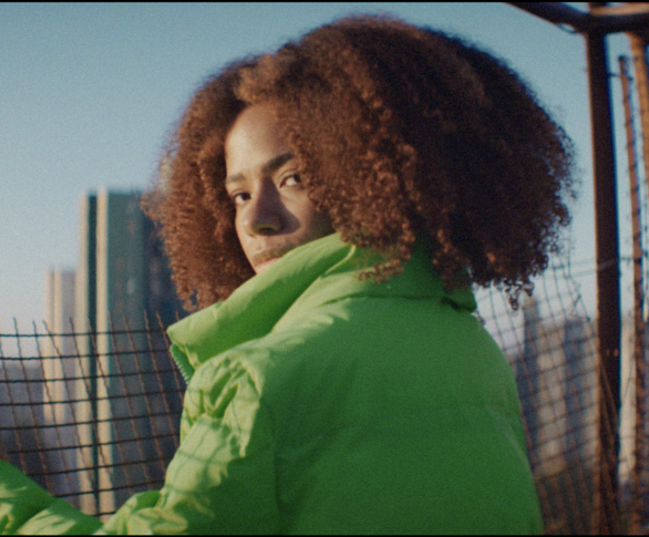 The Great Revolution